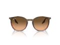 Ray-Ban Solbriller RB 0RB2204 13953B