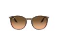 Ray-Ban Solbriller RB 0RB2204 13953B