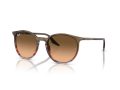 Ray-Ban Solbriller RB 0RB2204 13953B