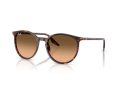 Ray-Ban Solbriller RB 2204 14293B