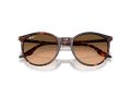 Ray-Ban Solbriller RB 2204 14293B