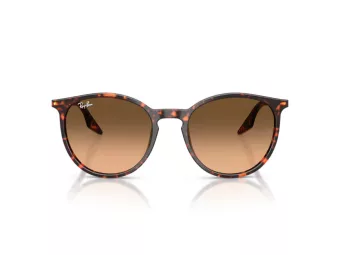 Ray-Ban Solbriller RB 2204 14293B