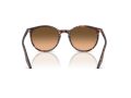 Ray-Ban Solbriller RB 2204 14293B