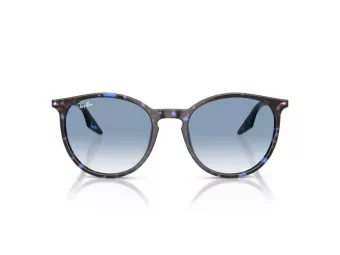 Ray-Ban Solbriller RB 2204 14303F