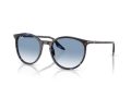Ray-Ban Solbriller RB 2204 14303F
