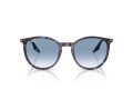 Ray-Ban Solbriller RB 2204 14303F