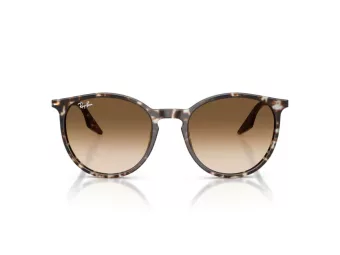 Ray-Ban Solbriller RB 2204 143151
