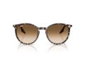 Ray-Ban Solbriller RB 2204 143151