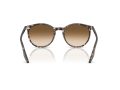 Ray-Ban Solbriller RB 2204 143151