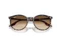 Ray-Ban Solbriller RB 2204 143151