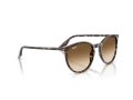 Ray-Ban Solbriller RB 2204 143151