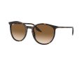 Ray-Ban Solbriller RB 0RB2204 902/51