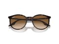 Ray-Ban Solbriller RB 0RB2204 902/51