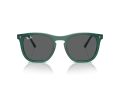 Ray-Ban Solbriller RB 2210 6615B1