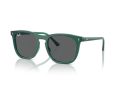 Ray-Ban Solbriller RB 2210 6615B1