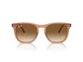Ray-Ban Solbriller RB 2210 676451