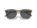 Ray-Ban Solbriller RB 2210 6765R5