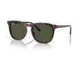 Ray-Ban Solbriller RB 2210 902/31