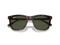 Ray-Ban Solbriller RB 2210 902/31