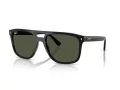 Ray-Ban Solbriller RB 2213 901/31