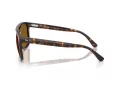 Ray-Ban Solbriller RB 2213 902/33
