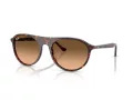 Ray-Ban Solbriller RB 2215 14293B