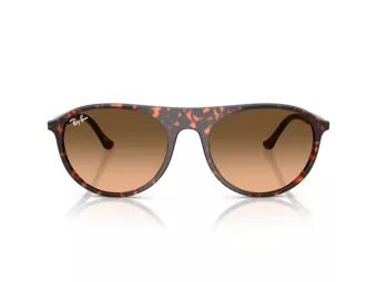 Ray-Ban Solbriller RB 2215 14293B