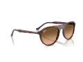 Ray-Ban Solbriller RB 2215 14293B