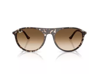 Ray-Ban Solbriller RB 2215 143151