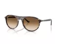 Ray-Ban Solbriller RB 2215 143151
