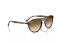 Ray-Ban Solbriller RB 2215 143151