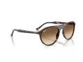 Ray-Ban Solbriller RB 2215 902/51