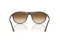 Ray-Ban Solbriller RB 2215 902/51