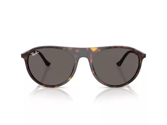 Ray-Ban Solbriller RB 2215 902/B1