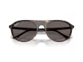 Ray-Ban Solbriller RB 2215 902/B1