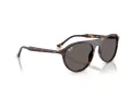 Ray-Ban Solbriller RB 2215 902/B1