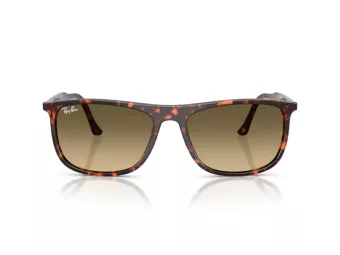 Ray-Ban Solbriller RB 2216 14290A
