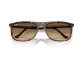 Ray-Ban Solbriller RB 2216 14290A