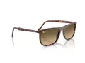Ray-Ban Solbriller RB 2216 14290A