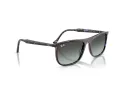 Ray-Ban Solbriller RB 2216 1430GK
