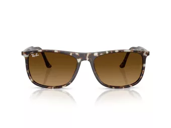 Ray-Ban Solbriller RB 2216 143185