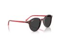 Ray-Ban Bernard Solbriller RB 2230 141948