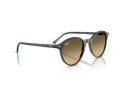 Ray-Ban Bernard Solbriller RB 2230 14210A