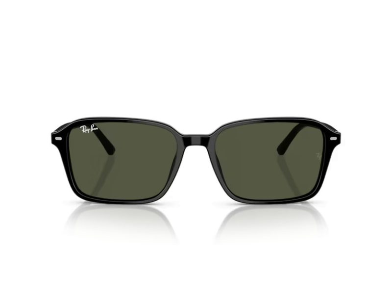 Ray-Ban Raimond Solbriller RB 2231 901/31