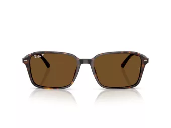 Ray-Ban Raimond Solbriller RB 2231 902/57