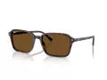 Ray-Ban Raimond Solbriller RB 2231 902/57