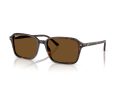 Ray-Ban Raimond Solbriller RB 2231 902/57