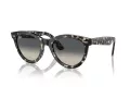 Ray-Ban Wayfarer Way Solbriller RB 2241 133371
