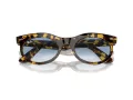 Ray-Ban Wayfarer Oval Solbriller RB 2242 13323F