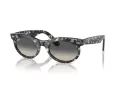 Ray-Ban Wayfarer Oval Solbriller RB 2242 133371